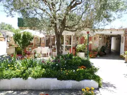 Bild zur gratis inserierten Ferienwohnung Ferienhaus-1670332.