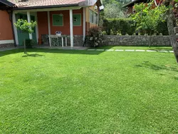 Bild zur gratis inserierten Ferienwohnung Ferienhaus-1671396.