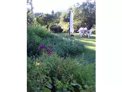 Ferienwohnung Ferienwohnung-1672103 in Pescia - 4 Personen, Hund erlaubt