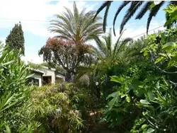 Bild zur gratis inserierten Ferienwohnung Ferienhaus-1672425.