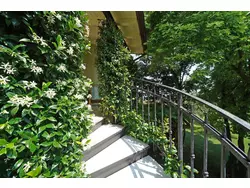 Bild zur gratis inserierten Ferienwohnung Ferienwohnung-1699692.