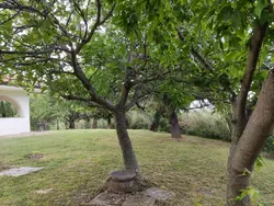 Bild zur gratis inserierten Ferienwohnung Ferienhaus-1846418.