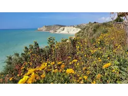 Ferienwohnung Ferienwohnung-1889199 in Realmonte - 3 Personen, Hund erlaubt