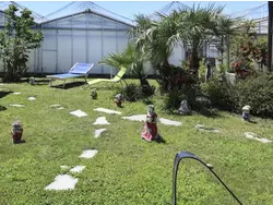 Ferienwohnung Ferienwohnung-3500199 in Albenga - 5 Personen, Hund erlaubt