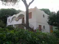 Bild zur gratis inserierten Ferienwohnung Ferienhaus-962485.