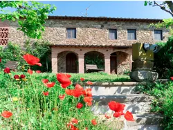 Ferienhaus Ferienhaus-3501394 in Monsummano Terme - 8 Personen, Hund erlaubt