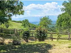 Bild zur gratis inserierten Ferienwohnung Ferienhaus-3482416.