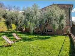 Ferienhaus Ferienhaus-3280009 in Scansano - 3 Personen, Hund erlaubt