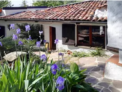 Ferienhaus Ferienhaus-3500157 in Leggiuno - 6 Personen, Hund erlaubt