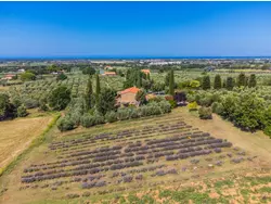 Bild zur gratis inserierten Ferienwohnung Ferienwohnung-2258686.