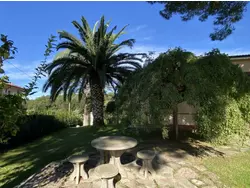 Ferienwohnung Ferienwohnung-3409543 in Casale Marittimo - 7 Personen, Hund erlaubt