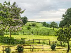 Bild zur gratis inserierten Ferienwohnung Ferienhaus-3482417.