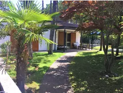 Bild zur gratis inserierten Ferienwohnung Ferienwohnung-2293006.