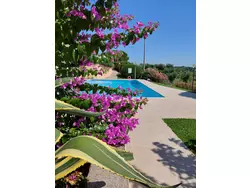 Bild zur gratis inserierten Ferienwohnung Ferienwohnung-2151625.