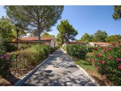 Bild zur gratis inserierten Ferienwohnung Ferienhaus-3248063.