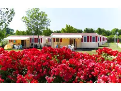 Sonstige Ferienwohnung-1017416 in Sirmione - 6 Personen, Hund nicht erlaubt