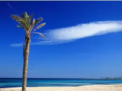 Bild zur gratis inserierten Ferienwohnung Ferienwohnung-3309131.