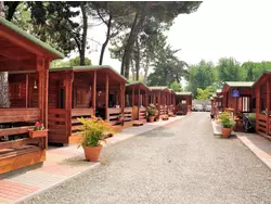Ferienhaus Ferienhaus-3501339 in Carrara - 2 Personen, Hund erlaubt