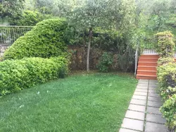 Ferienwohnung Ferienwohnung-3484570 in Lerici - 4 Personen, Hund erlaubt