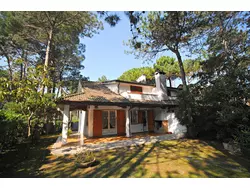 Bild zur gratis inserierten Ferienwohnung Ferienhaus-1615629.