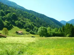 Bild zur gratis inserierten Ferienwohnung Ferienhaus-1261699.