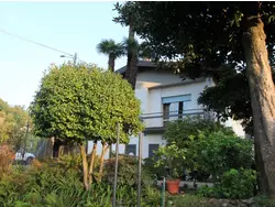 Bild zur gratis inserierten Ferienwohnung Ferienhaus-3416526.