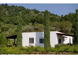 Bild zur gratis inserierten Ferienwohnung Ferienwohnung-186827.