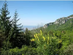 Bild zur gratis inserierten Ferienwohnung Ferienhaus-3501455.