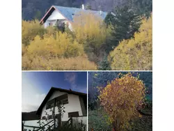 Ferienwohnung Ferienwohnung-1285419 in Borzonasca - 6 Personen, Hund erlaubt