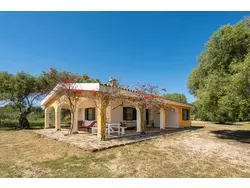 Bild zur gratis inserierten Ferienwohnung Ferienhaus-3441033.