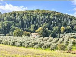 Ferienhaus Ferienhaus-3540319 in Castel del Piano - 9 Personen, Hund erlaubt
