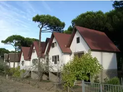 Bild zur gratis inserierten Ferienwohnung Ferienwohnung-635477.