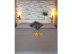 Ferienwohnung Ferienwohnung-1014878 in San Felice del Benaco - 2 Personen, Hund erlaubt