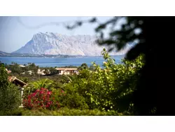 Bild zur gratis inserierten Ferienwohnung Ferienwohnung-42187.