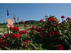 Ferienhaus Ferienhaus-3544865 in Rignano sull'Arno - 12 Personen, Hund erlaubt