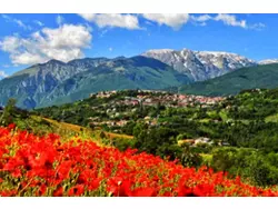 Bild zur gratis inserierten Ferienwohnung Ferienwohnung-730488.