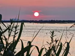 Bild zur gratis inserierten Ferienwohnung Ferienwohnung-3550943.