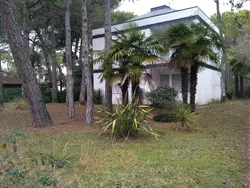 Bild zur gratis inserierten Ferienwohnung Ferienwohnung-1274589.