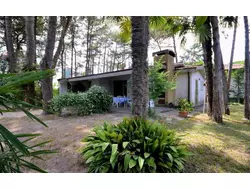 Bild zur gratis inserierten Ferienwohnung Ferienhaus-3553322.