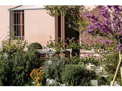 Ferienwohnung Ferienwohnung-3556751 in Serra de' Conti - 3 Personen, Hund erlaubt