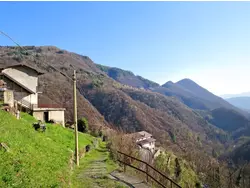 Ferienwohnung Ferienwohnung-3555848 in Aurano - 4 Personen, Hund erlaubt