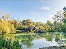 Bild zur gratis inserierten Ferienwohnung Ferienhaus-3559728.