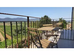 Ferienhaus Ferienhaus-1348784 in Magliano in Toscana - 6 Personen, Hund erlaubt