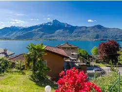 Bild zur gratis inserierten Ferienwohnung Ferienwohnung-3559720.