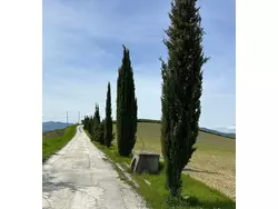 Ferienhaus Ferienhaus-3560927 in Rosora - 6 Personen, Hund erlaubt