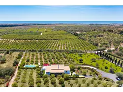 Bild zur gratis inserierten Ferienwohnung Ferienhaus-2284428.