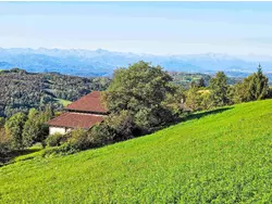 Bild zur gratis inserierten Ferienwohnung Ferienwohnung-3571952.