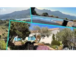 Bild zur gratis inserierten Ferienwohnung Ferienhaus-1567743.