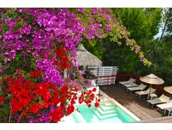 Bild zur gratis inserierten Ferienwohnung Ferienhaus-3575186.