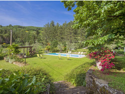 Ferienwohnung Ferienwohnung-35651 in Rufina - 4 Personen, Hund erlaubt